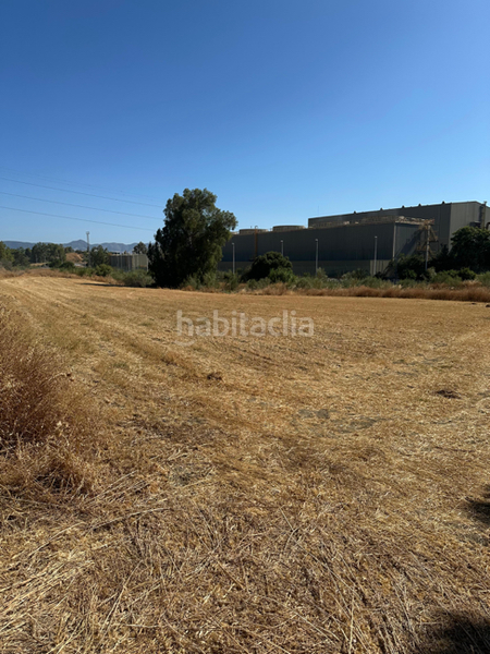 Foto 4f42cd43-89db-4e79-b0e8-a9d0912e342d. Residential plot in Campanillas Málaga