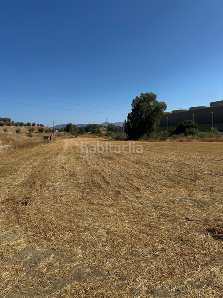 Foto 5528653e-a653-44cd-b205-9cc0e0ccd5b9. Residential plot in Campanillas Málaga