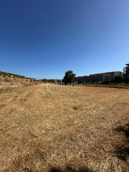 Foto 9c18b029-9fdf-4ca4-9301-8a5668d6e66c. Residential plot in Campanillas Málaga