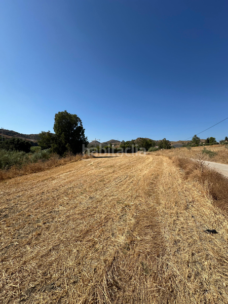 Foto 9d477d7e-a9c2-4466-8e5a-4072b7cbf465. Residential plot in Campanillas Málaga