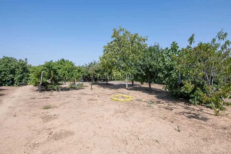 Foto 18173d09-05fa-48f0-a161-b7f851418f5f. Haus mit heizung pool in Fuente el Saz de Jarama