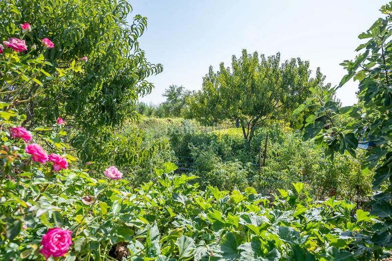 Foto 1f25c5ef-8f36-4ad3-91ef-00801519fd88. Haus mit heizung pool in Fuente el Saz de Jarama