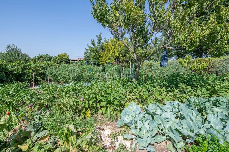 Foto 42360ca6-7e71-4d39-849e-696978b8d8e0. Haus mit heizung pool in Fuente el Saz de Jarama