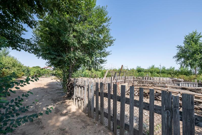 Foto 57c2ba5d-0074-41a8-a049-ce3e6411bc77. Haus mit heizung pool in Fuente el Saz de Jarama