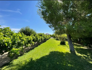 Casa a Fuente el Saz de Jarama. Chalet independiente en venta  fuente el saz de jarama