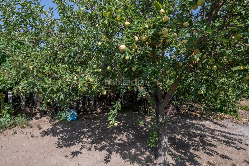 Foto 8b765c96-8046-48a2-b00c-4d82fce6f112. Haus mit heizung pool in Fuente el Saz de Jarama