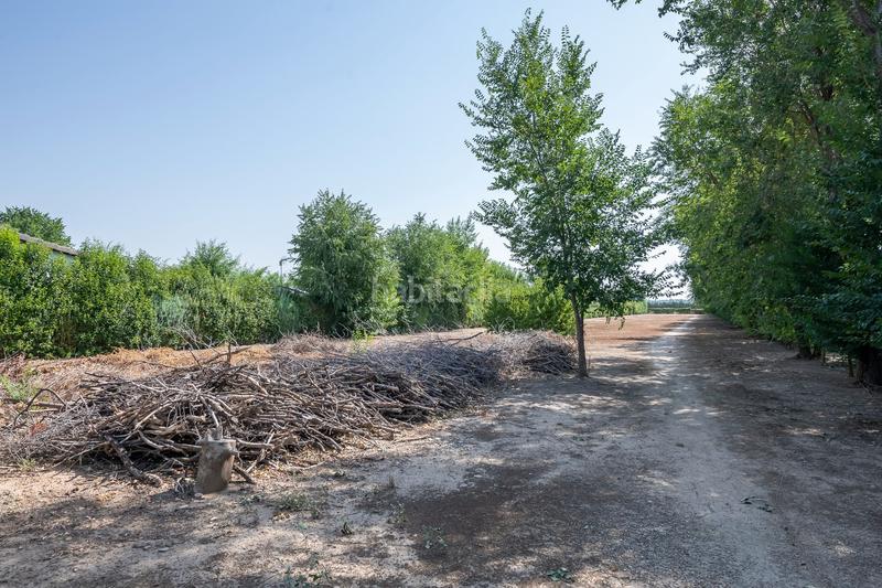 Foto bb1e37ab-05a7-401b-8969-e96970a995f1. Haus mit heizung pool in Fuente el Saz de Jarama