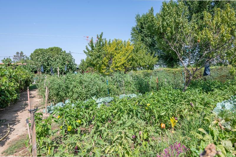 Foto d41b273f-36c2-4d3f-a0ef-389b79cbc3b5. Haus mit heizung pool in Fuente el Saz de Jarama