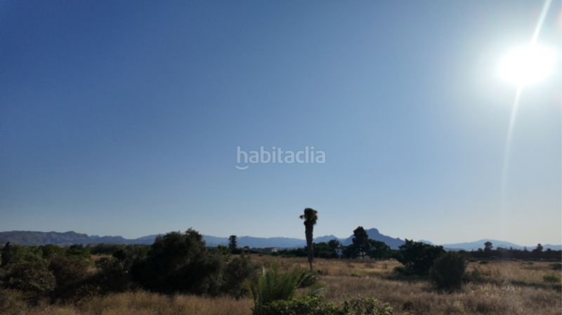 Foto 6ed9fc5a-9839-4866-8d17-048dd8ca0c30. Apartament a El Palmar - Los Molinos Dénia
