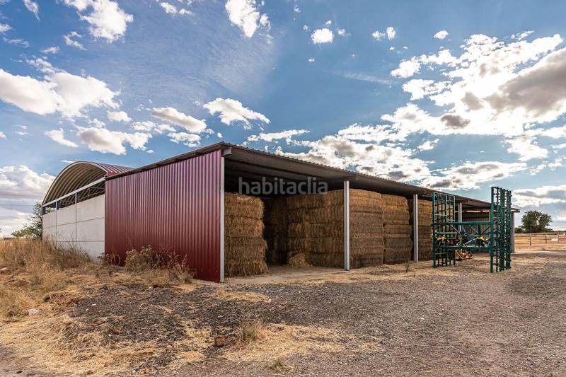 Foto 11bf3250-023b-406d-a052-b6354c267fec. Casa con riscaldamento in Pozuelo del Rey