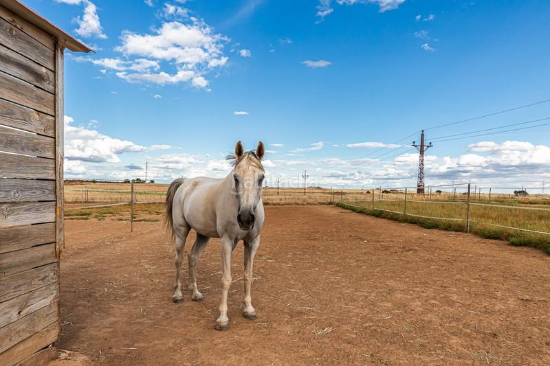 Foto 36678f0d-924b-4794-8108-f71105d5e957. Casa con riscaldamento in Pozuelo del Rey