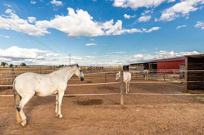 Foto 3b2ce87c-64c0-43df-9008-0d100bd3d257. Casa con riscaldamento in Pozuelo del Rey