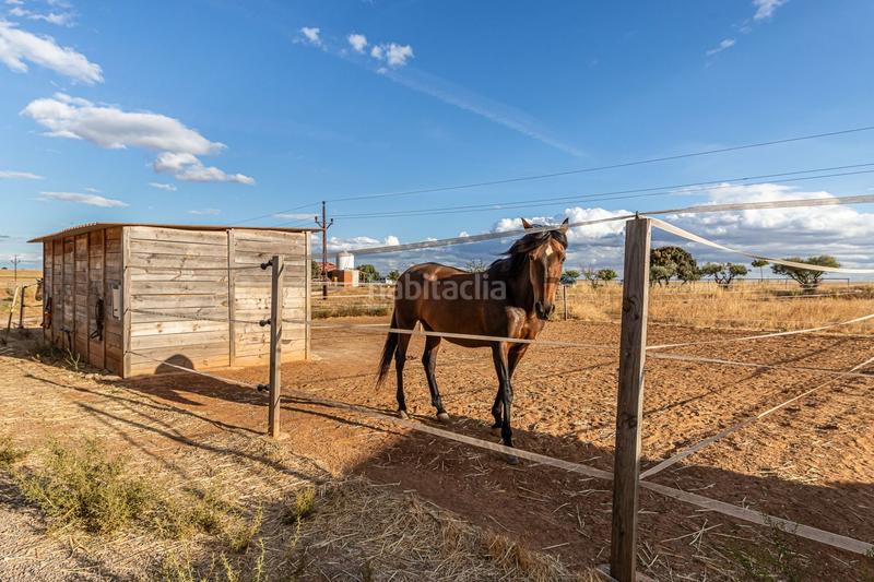 Foto 544269f4-1f84-4e60-9737-89260cfabb14. Casa con riscaldamento in Pozuelo del Rey