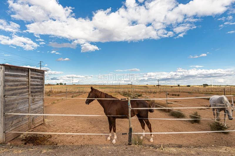 Foto 5af1ca5d-70a5-43a7-9938-23aaa07d0fda. Casa con riscaldamento in Pozuelo del Rey