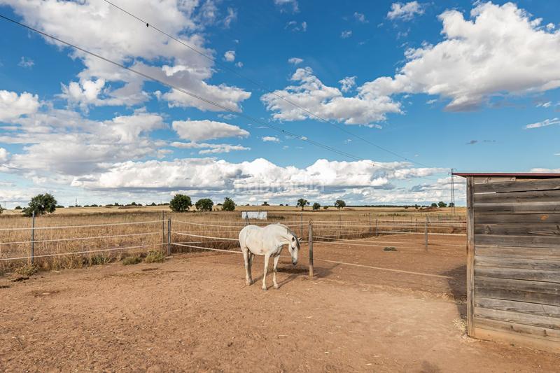 Foto 70e4d423-ef79-4983-aea2-67662ab7a11e. Casa con riscaldamento in Pozuelo del Rey