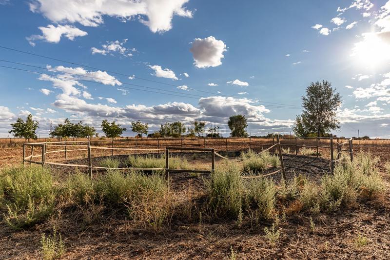 Foto 980a09ea-f1c8-4edb-b558-055da2b4fcb0. Casa con riscaldamento in Pozuelo del Rey