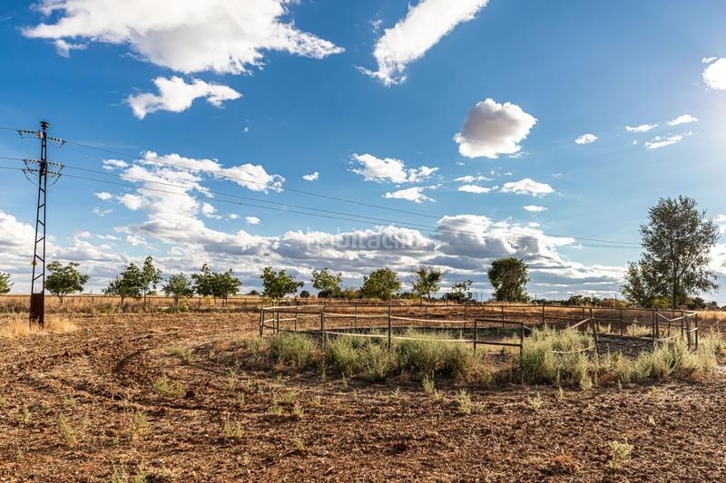 Foto 99ff5305-400d-466f-8102-3722bb89857c. Casa con riscaldamento in Pozuelo del Rey