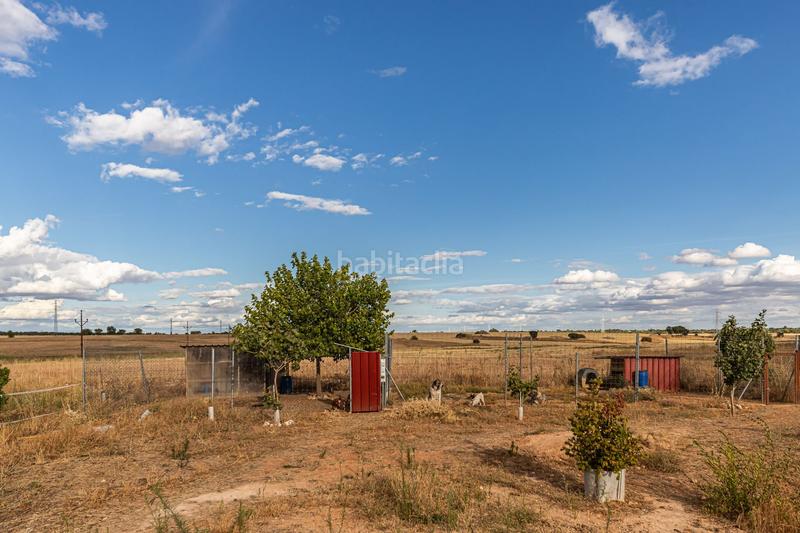 Foto bd44f5aa-6bb9-4cac-9cf5-f8450ad21c8c. Casa con riscaldamento in Pozuelo del Rey