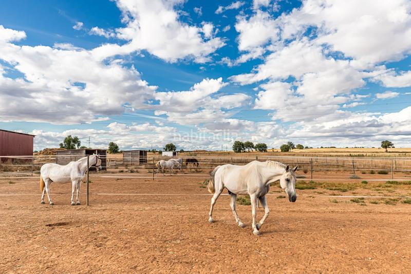 Foto d2f04247-d3e5-46e7-b3ba-13c754960382. Casa con riscaldamento in Pozuelo del Rey