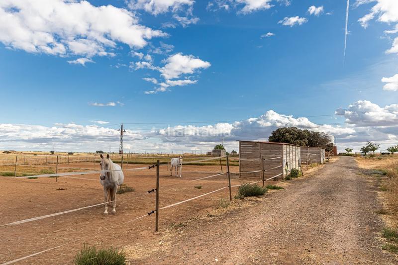 Foto d32bad5b-5ba2-4c7a-9fd2-2247f641842f. Casa con riscaldamento in Pozuelo del Rey