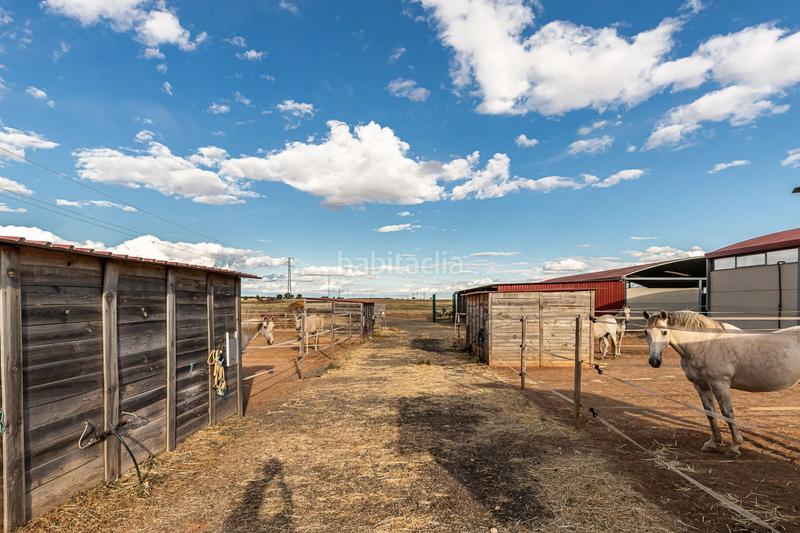 Foto dd1b9098-b2fb-4759-83aa-ac2a36453412. Casa con riscaldamento in Pozuelo del Rey