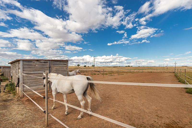 Foto ecae5df9-5bb5-4541-95ce-f40280f60790. Casa con riscaldamento in Pozuelo del Rey