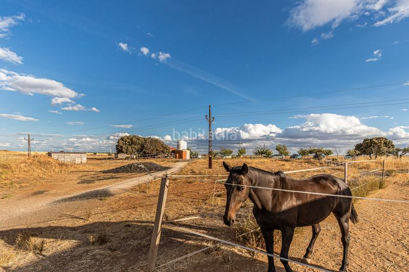 Foto fafdd154-ef67-447c-b586-c571d42d18e8. Casa con riscaldamento in Pozuelo del Rey