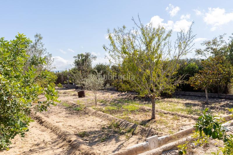 Foto 25acf41e-f5c8-46f4-836c-5a8641901f48. Casa amb piscina a Playa de Gandía Gandia