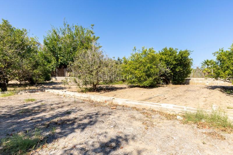 Foto 61ce1b8d-1714-426d-8000-2fa3ec026075. Casa amb piscina a Playa de Gandía Gandia