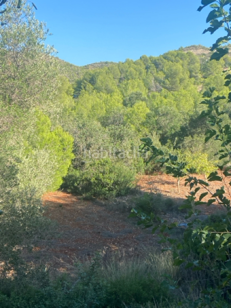 Foto 4ba7a589-2828-4995-90c4-02d2ece64b77. Terreno residencial terreno en venta c. ametla, en Dénia