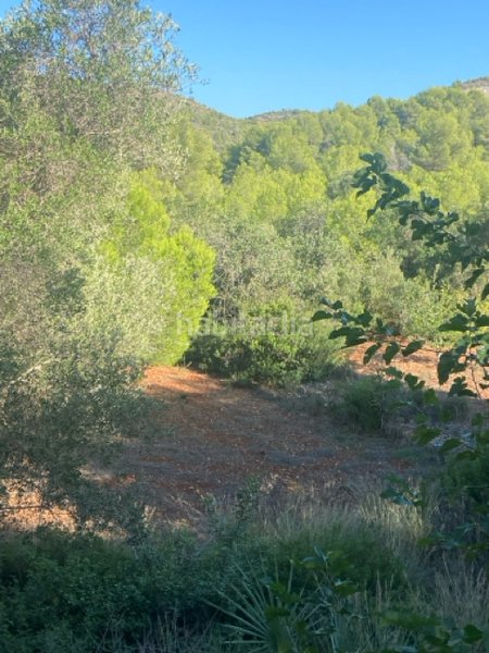 Foto db3c3942-af90-42c6-9f95-1623198a1667. Terreno residencial terreno en venta c. ametla, en Dénia