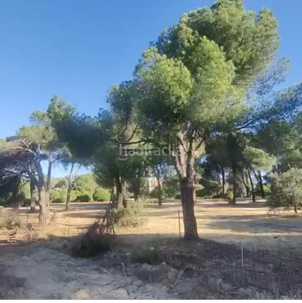 Foto 62ffd58d-0030-4254-b65d-94ab484ebe2a. Terreny residencial a Monte el Pilar Majadahonda