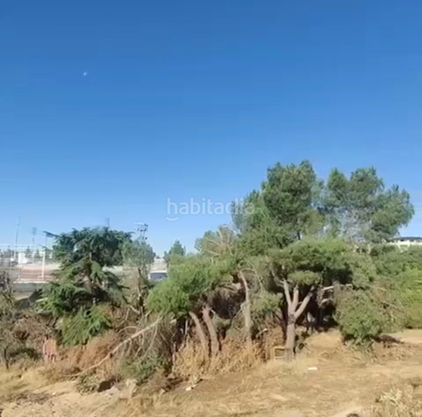 Foto e21b5270-4f3e-469d-bb5b-63d0f6b96075. Terreny residencial a Monte el Pilar Majadahonda
