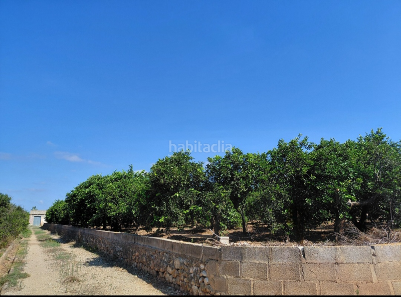 Foto 40bd74c0-3e55-4c75-9e1d-886dd08f1096. Terreno residencial parcela no edificable en venta en Alzira