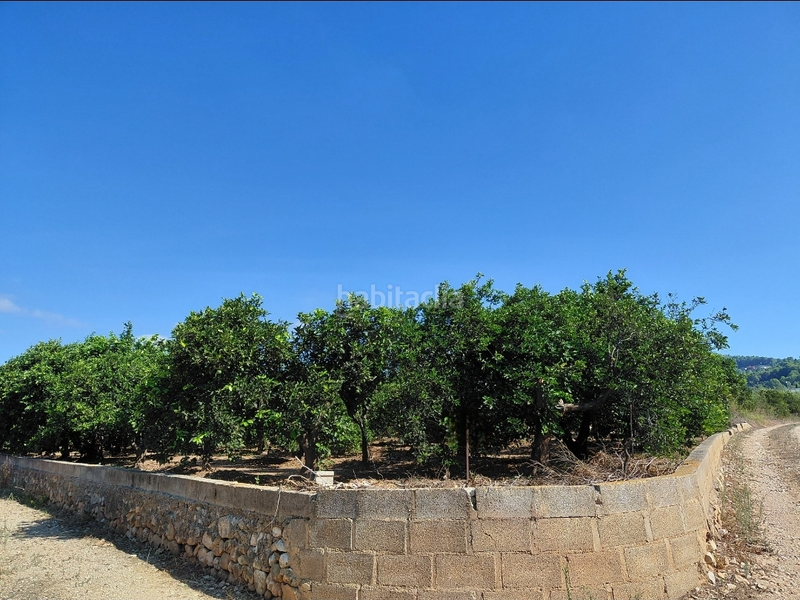 Foto 79c75490-4400-4fa1-8b3c-4ba22dd9f99a. Terreno residencial parcela no edificable en venta en Alzira