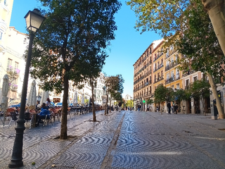 Rent Business premise in Embajadores-Lavapiés. Local en alquiler  ribera de curtidores, madrid