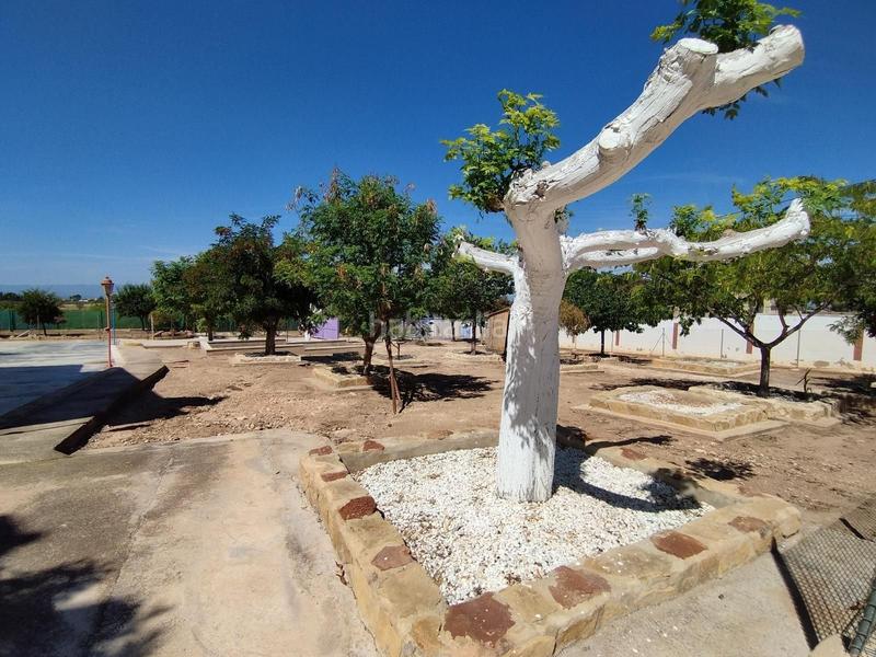 Foto 99a9aa31-c505-42bf-ab5e-6d78fde2ca3c. House with heating pool in La Conarda-Montesano Bétera