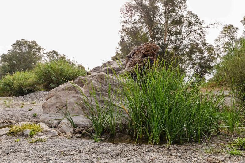 Foto fbb40913-3eaa-43bf-9dbb-aad0969b95c7. Haus mit heizung pool in Coín