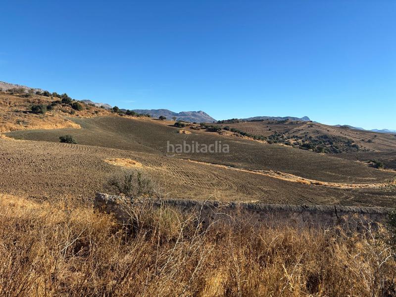 Foto 2d892cdb-0ff4-4484-97e4-2e2f136d3441. Wohngrundstück in Almogía