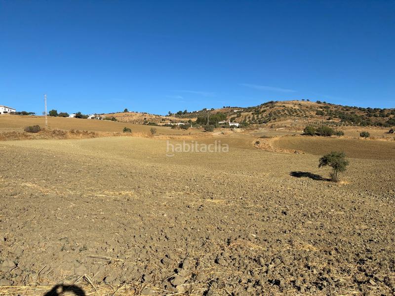 Foto 38a887e6-4707-48d1-8bd7-c1683625e10b. Wohngrundstück in Almogía