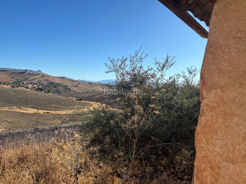 Foto 525945fb-0cd4-403b-b906-115248ded6cd. Wohngrundstück in Almogía