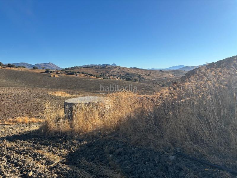 Foto 899412fc-c001-4a7c-bdc0-3fad07585807. Wohngrundstück in Almogía