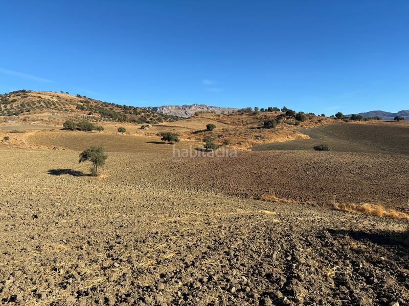 Foto 965de5a8-68de-4067-b13a-9386d0be8166. Wohngrundstück in Almogía