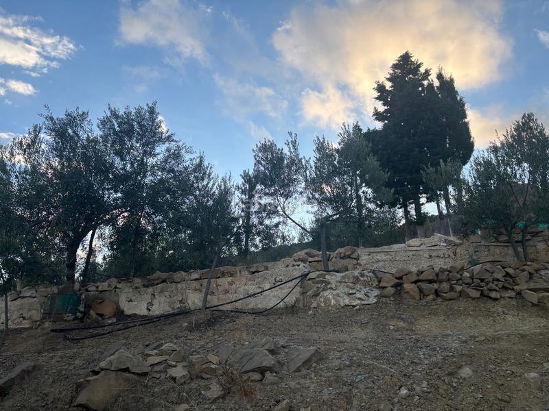 Foto f8b88758-0b9f-4ac3-8b47-04f2d81c9c59. Bauernhof in Casabermeja