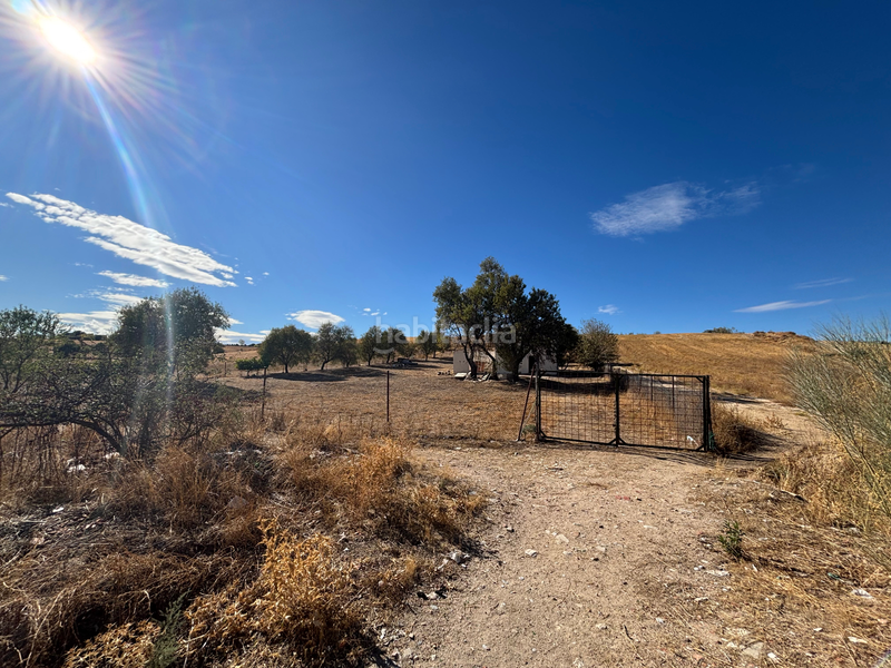 Foto e45b72ef-e537-4181-83ea-926f68e63163. Rural plot in El Pardo Madrid