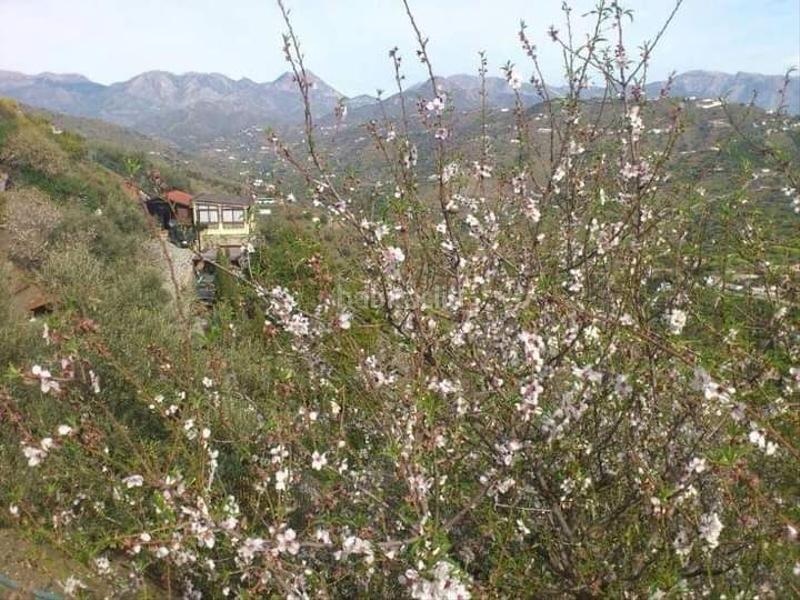 Foto 5c79c243-c9b0-4ce3-aa6a-a1417062ec64. Rent country house with heating pool in Torrox pueblo Torrox