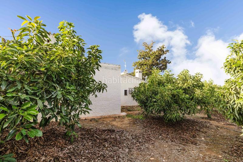 Foto 18d28ce7-66fc-4b61-8711-0060c73ee60c. Fondo rustico in Pinos de Alhaurín Alhaurín de la Torre