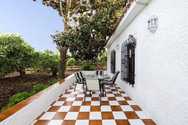 Foto 86a9706c-fcc2-4a9b-8aa3-6514d4d510fa. Fondo rustico in Pinos de Alhaurín Alhaurín de la Torre