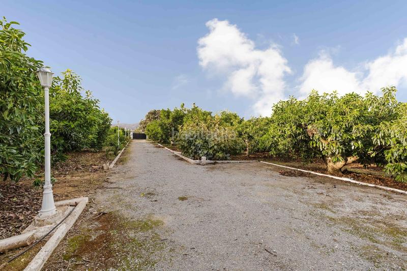 Foto 9a53ef5e-fd8e-4510-8964-2ff3f7061b35. Fondo rustico in Pinos de Alhaurín Alhaurín de la Torre