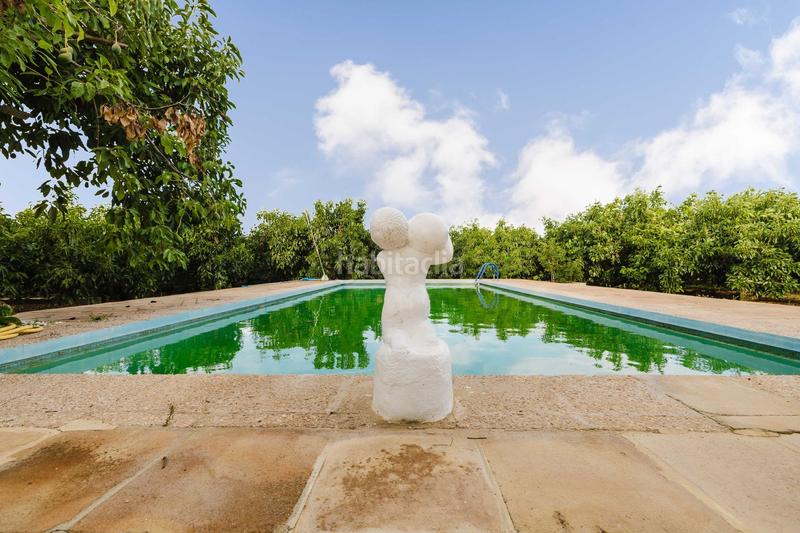 Foto ada211e9-c4df-4b27-9f10-3f0394dc766f. Fondo rustico in Pinos de Alhaurín Alhaurín de la Torre